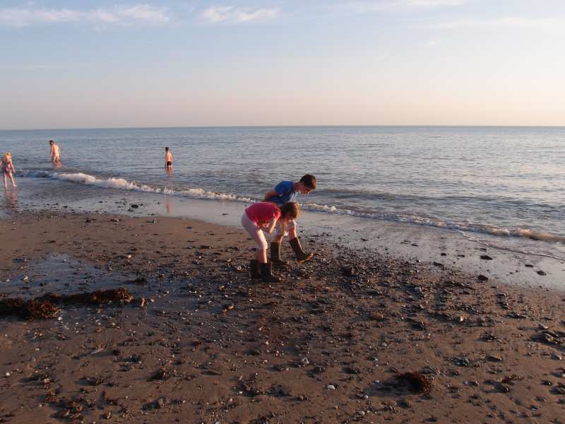 p5262238.jpg