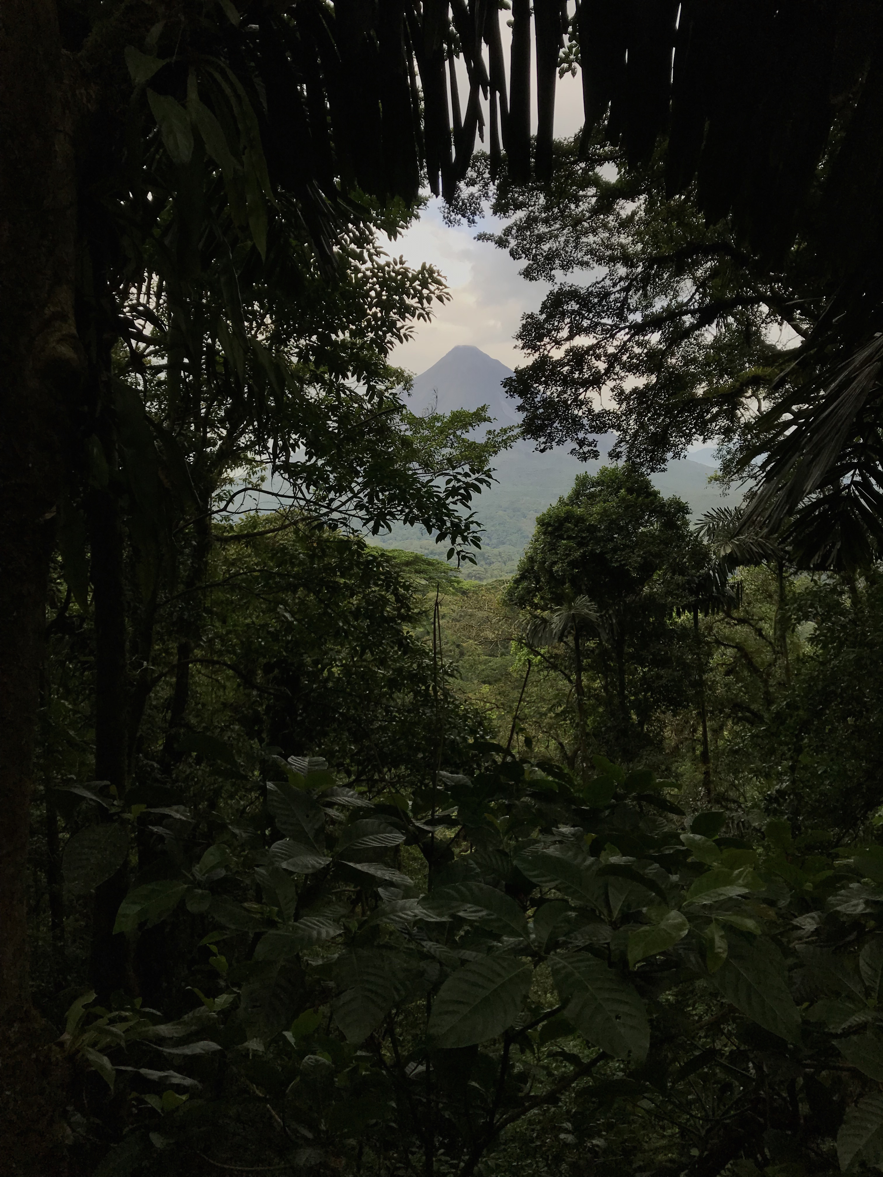 arenal.jpg