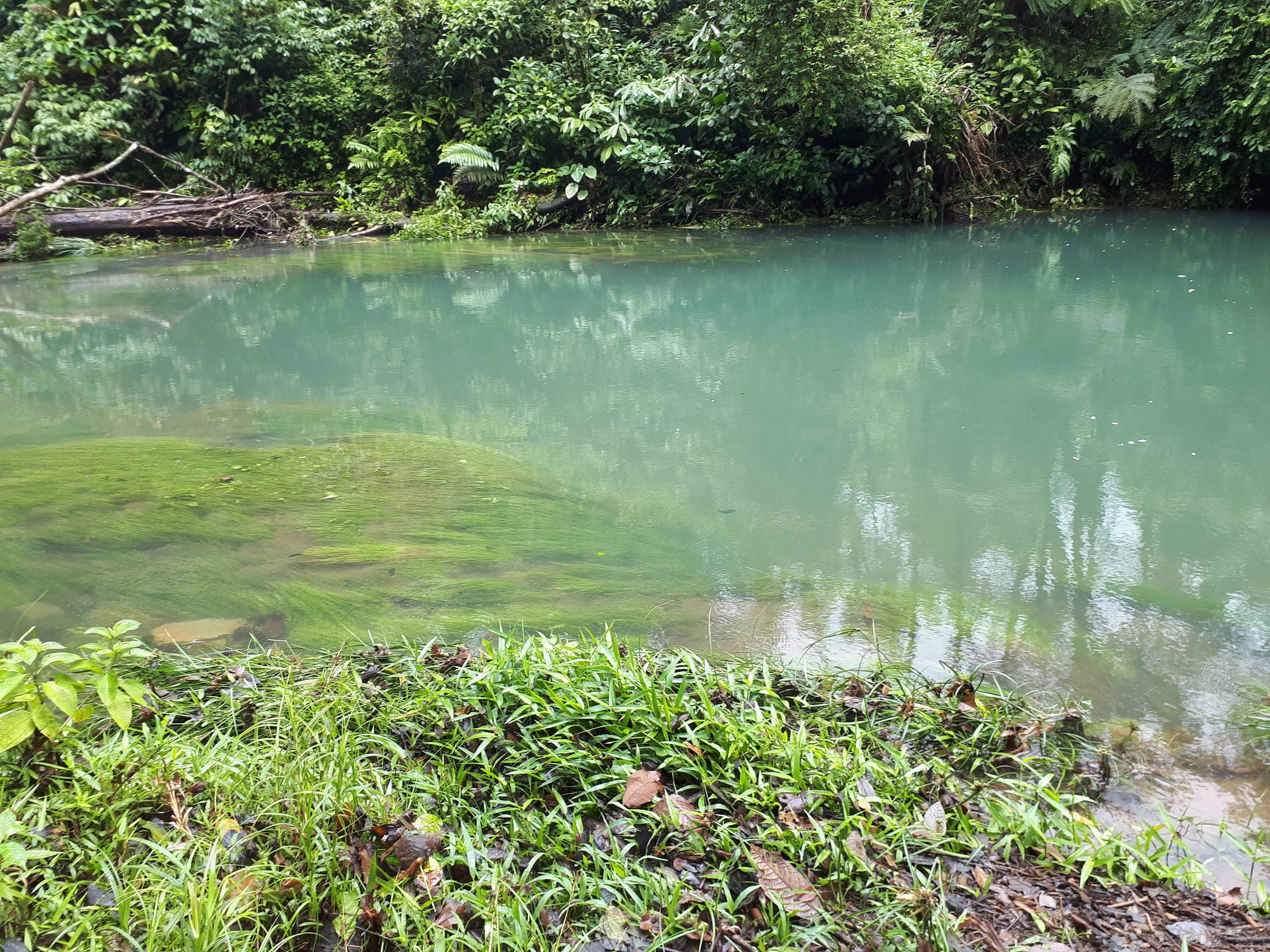 lagunaazul.jpg