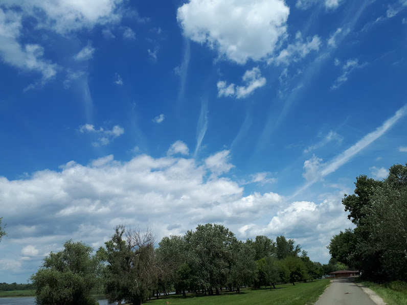 tisza-to_2.jpg