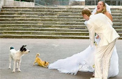 wedding-photograph-fail-12.jpg