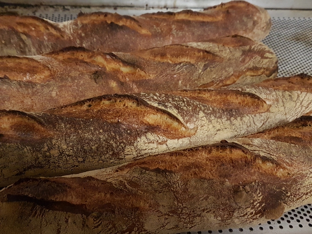 Első önálló pékeskedésem