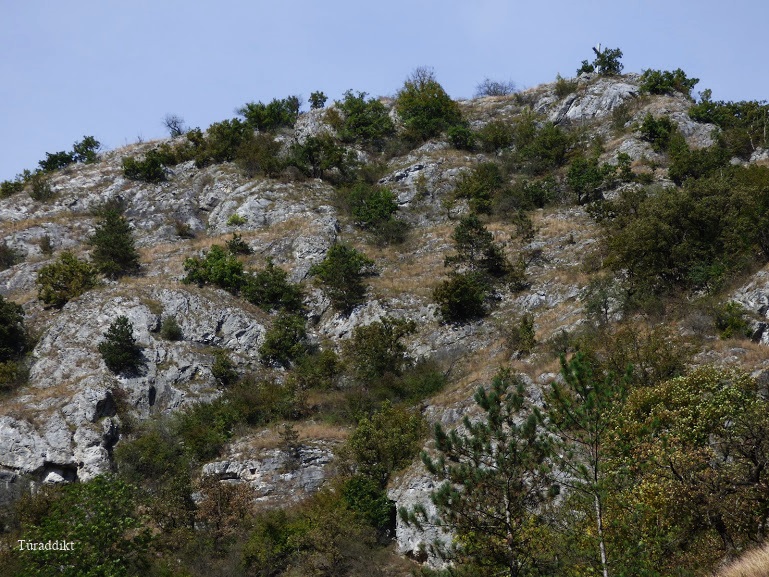 p1580490.JPG