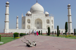Ilyen élőben a Taj Mahal - utazás Indiába