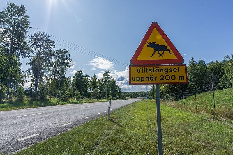 a_moose_road_sign_by_the_road_262_sweden.jpg