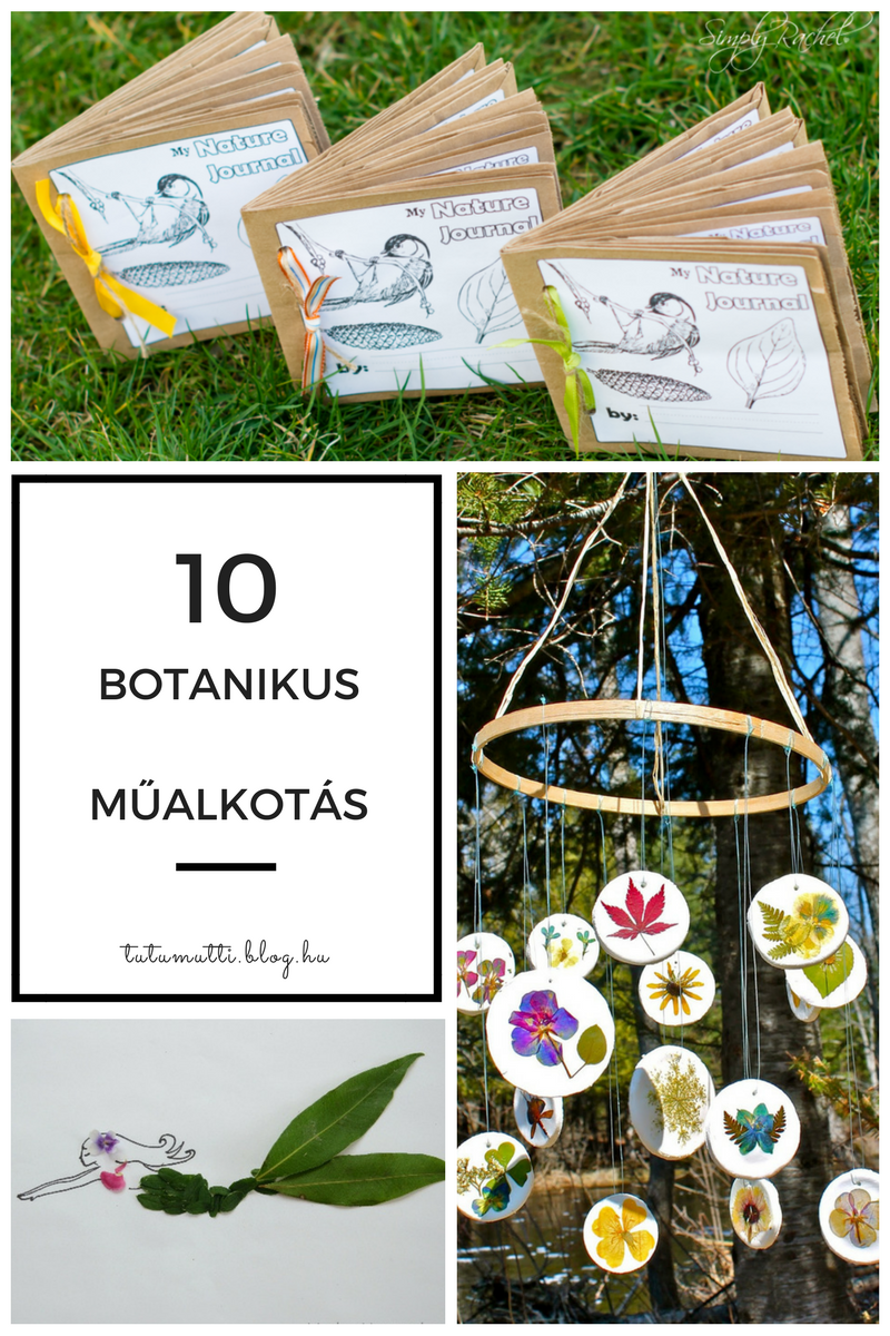 10_botanikus_mualkotas_tutumutti_blog.png