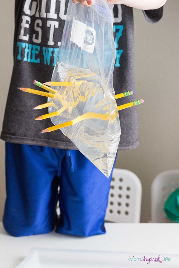 leak-proof-bag-science-experiment-for-kids-4.jpg