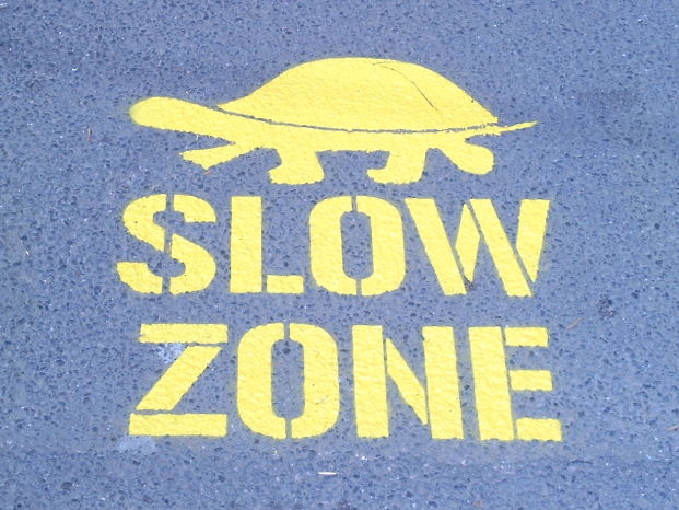 slowzone.PNG