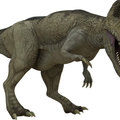 5 dolog, amit rosszul tudott a dinoszauruszokról