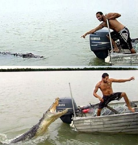 crocodile-attack.jpg