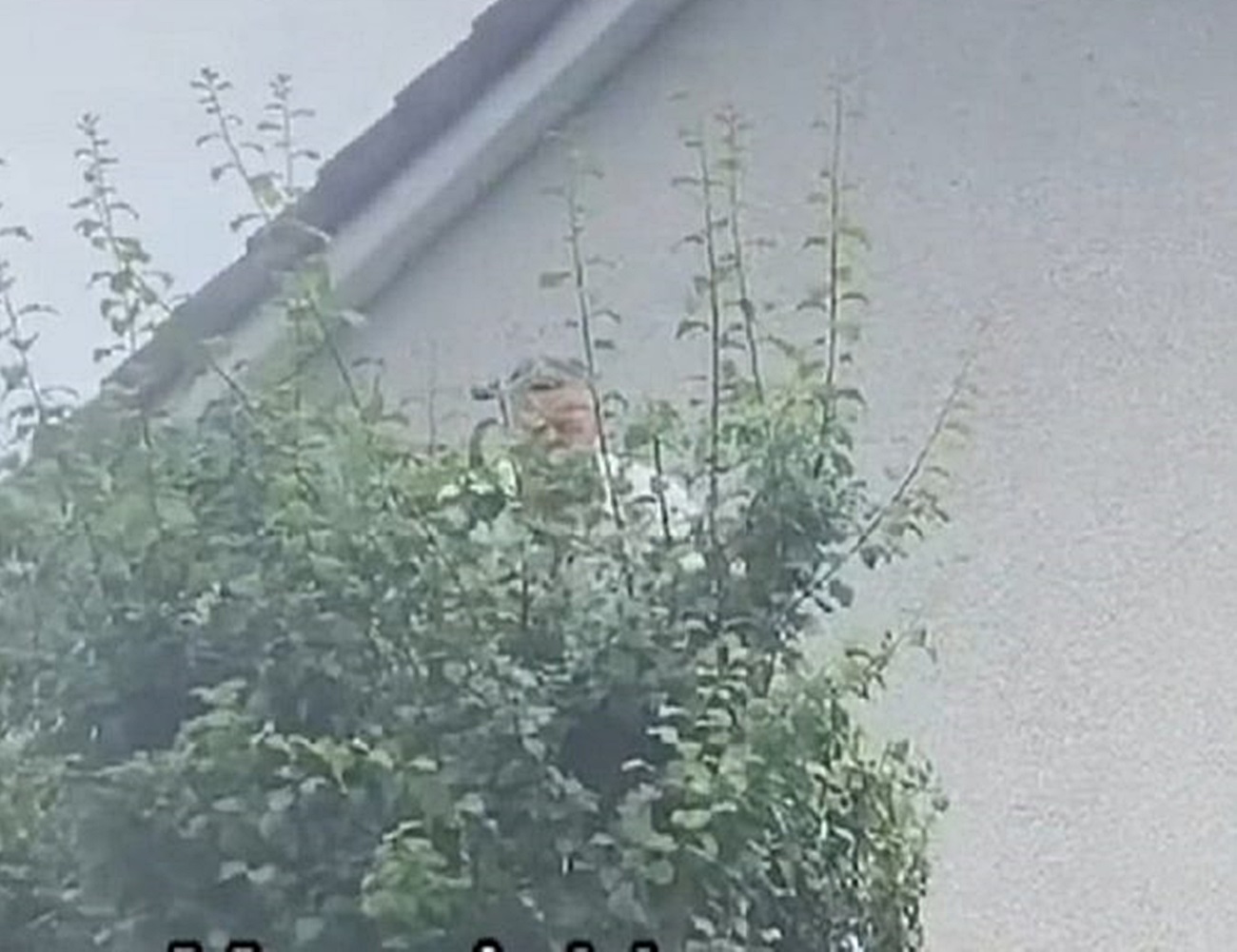 leskelodo_patkany_1.jpg