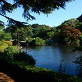 Golden week