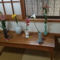 KADO - The way of flowers