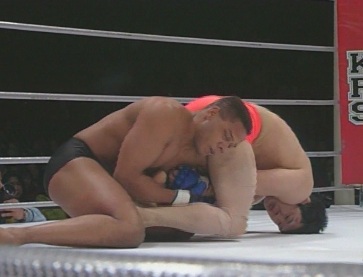 saku-white.jpg