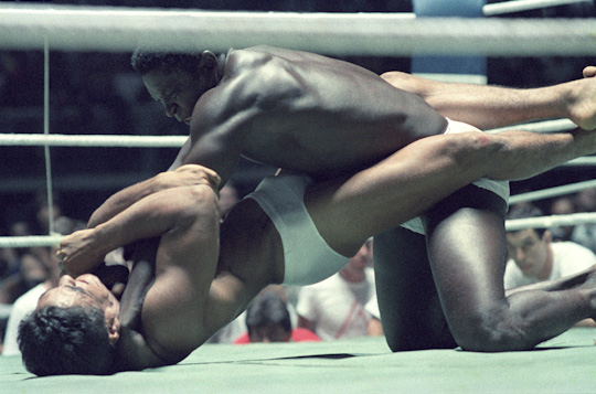 zulu_rickson_gracie.jpg