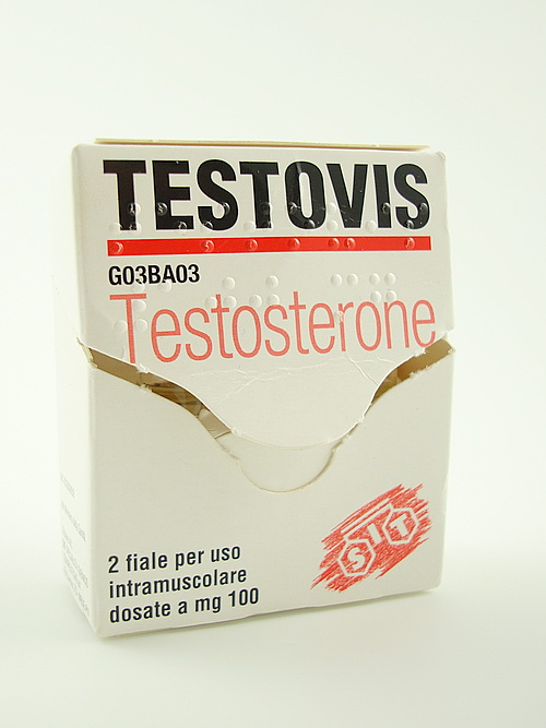 testovis01.jpg