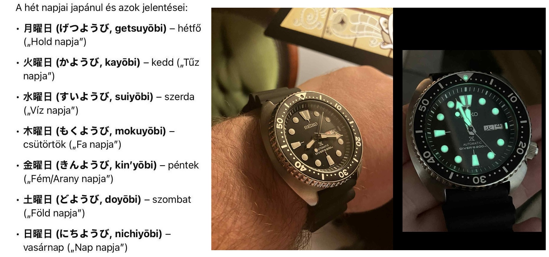 seiko_turtle_2.jpg