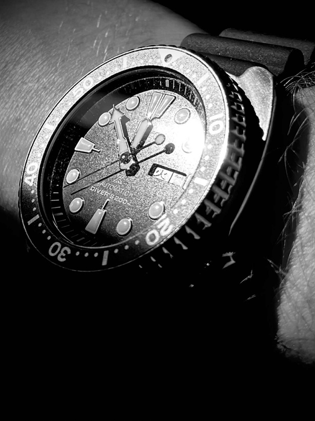seiko_turtle_8.jpg
