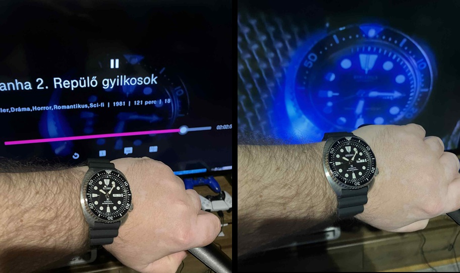 seiko_turtle_piranha.jpg