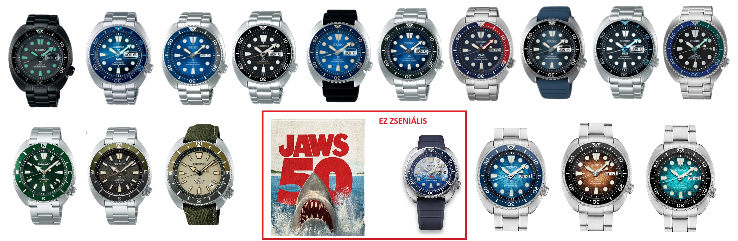 seiko_turtles.jpg