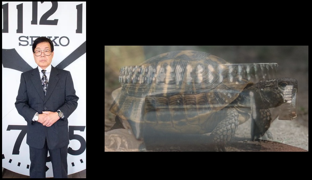 turtle_seiko.jpg