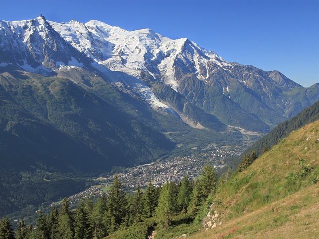 UTMB OCC, rövidítésfeloldó kisokos