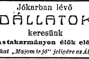 Jó karban lévő vadállatokat keresünk!