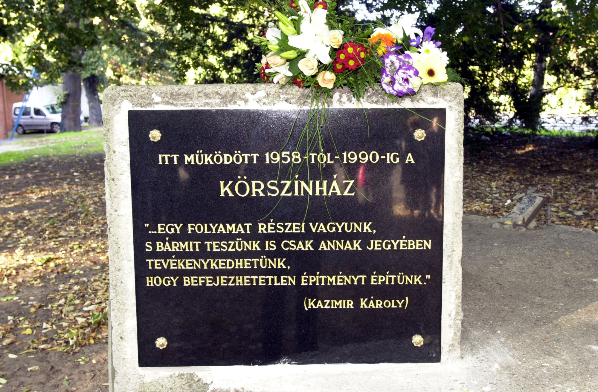 drozs20011012011.jpg