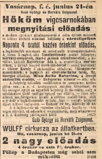 hirdetes_budapesti_hirlap_1891_junius.jpg