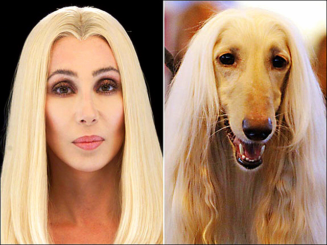 5_22_15-celebrities-who-have-twin-dogs5.jpg