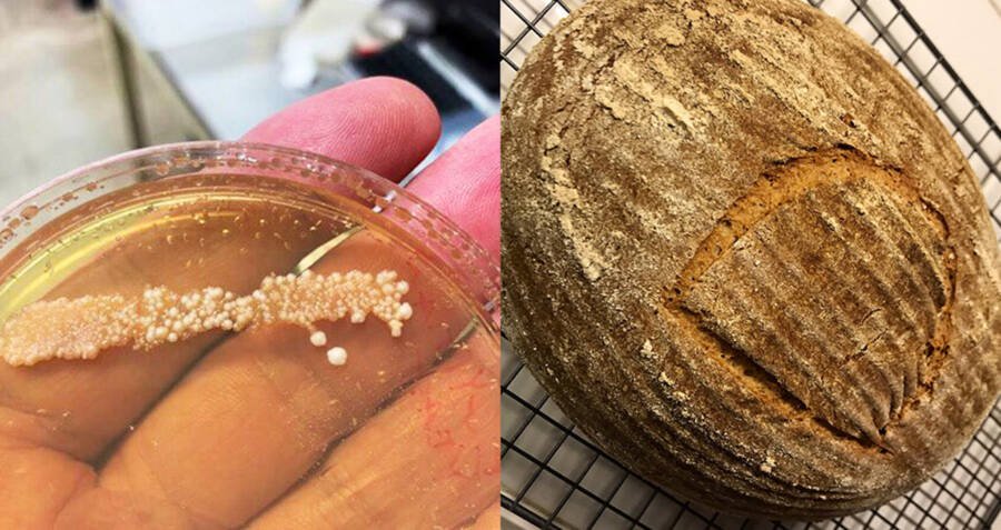 ancient-bread-baking.jpg