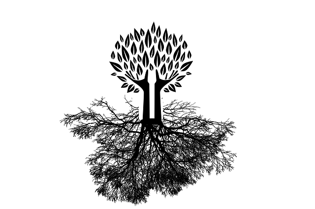 tree-2972896_640.png