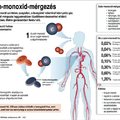 Halálos kombinációk. Mi áll a szén-monoxid mérgezések hátterében?