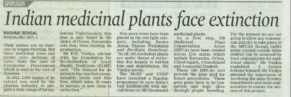 indian_medicinal_plants_face_extinction.jpg