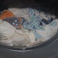 Tippek és tanácsok a pelenkák mosásához - a mosógép