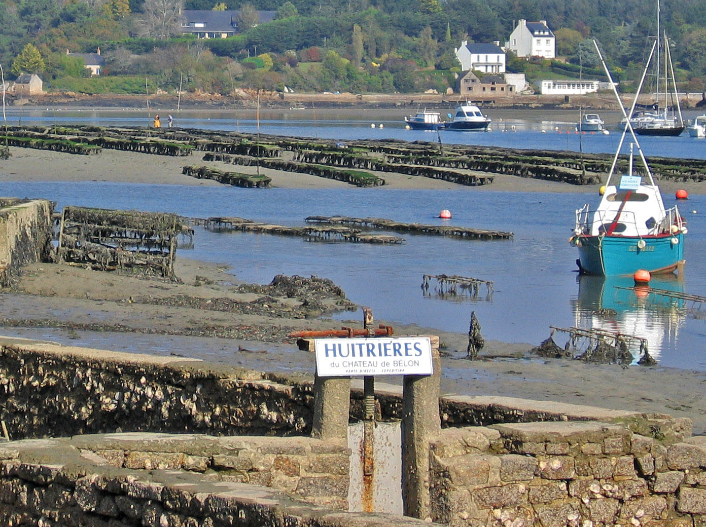 oyster_culture_belon_river_france.jpg