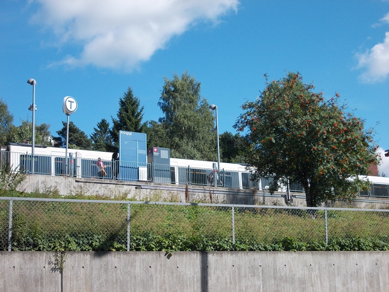 DSCN0673.JPG