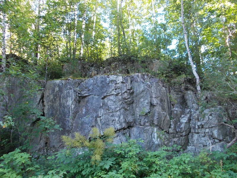 DSCN0676.JPG