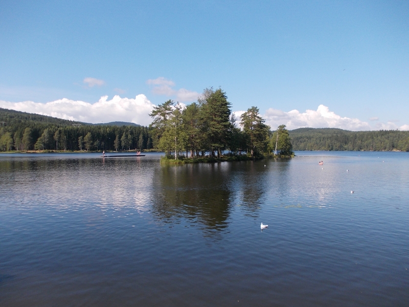 DSCN0684.JPG
