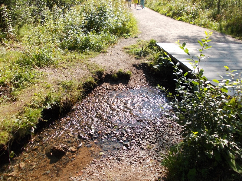 DSCN0695.JPG