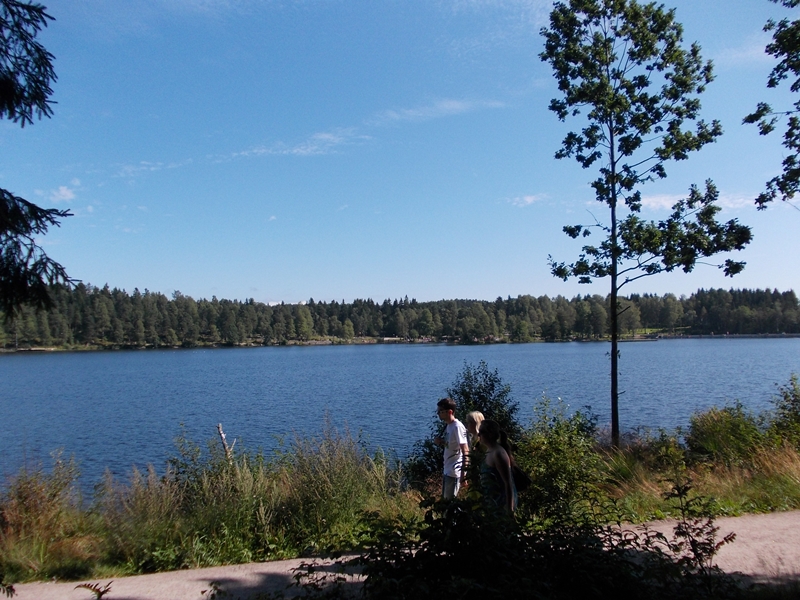 DSCN0698.JPG