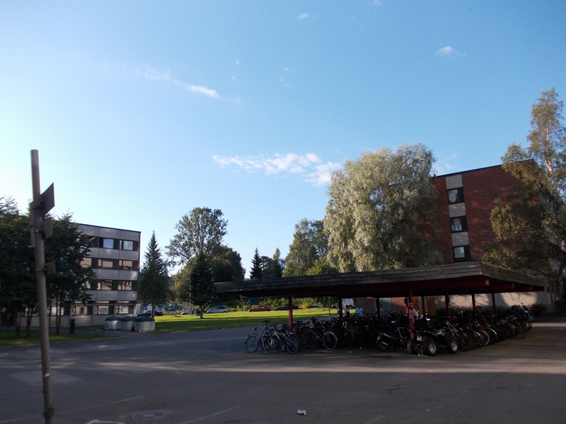 DSCN0705.JPG