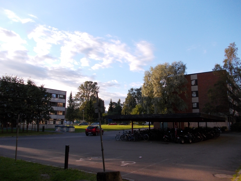 DSCN0706.JPG