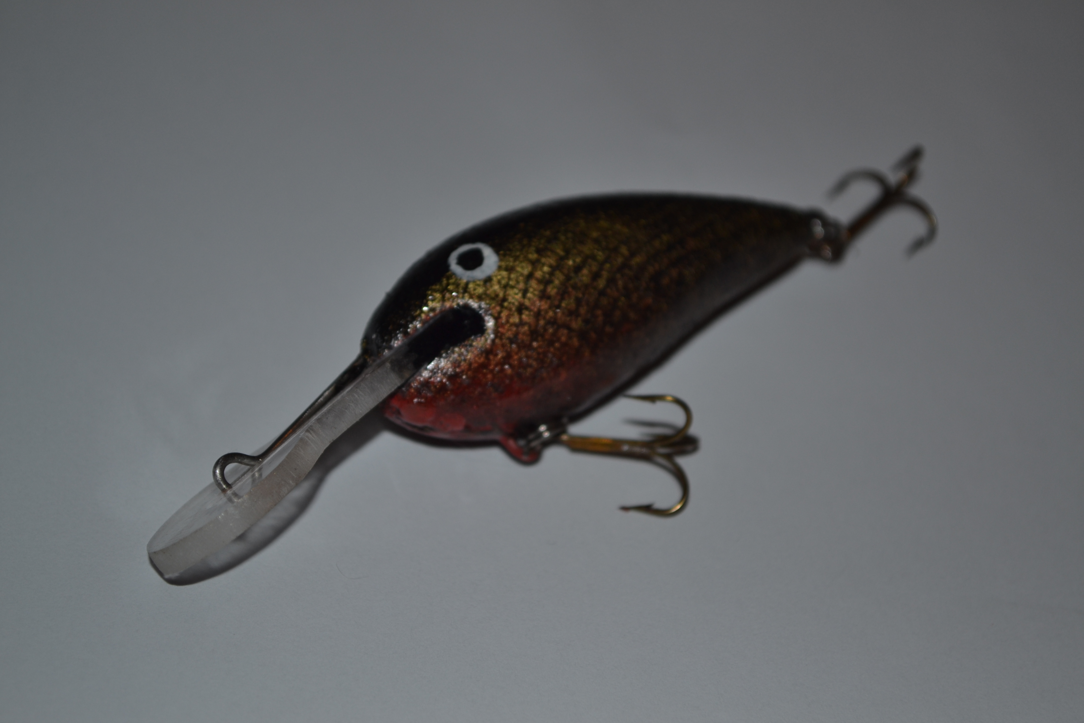 DSC_0053.JPG