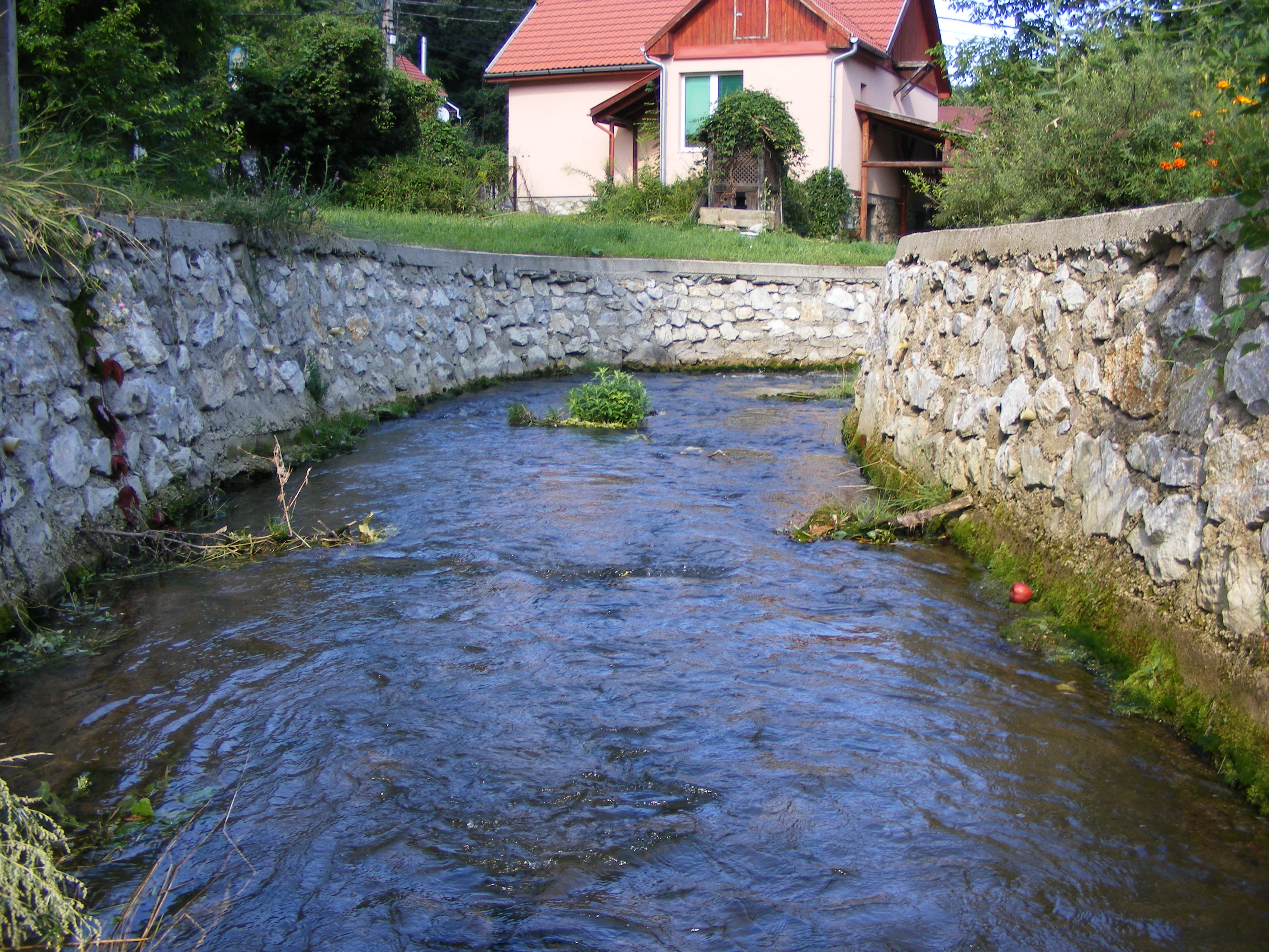 dscf1489.JPG