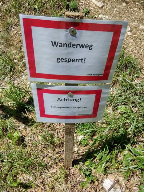 wanderweg.jpg