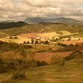 8. nap: Estella - Los Arcos, 21 km