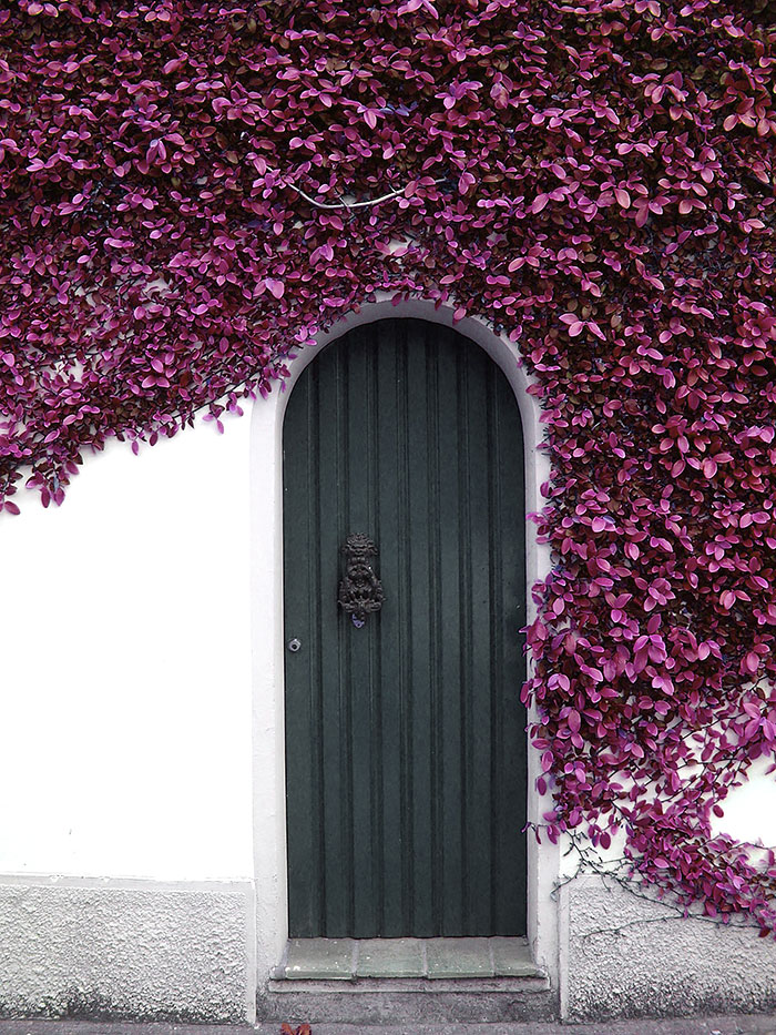 amazing-old-vintage-doors-photography-5.jpg