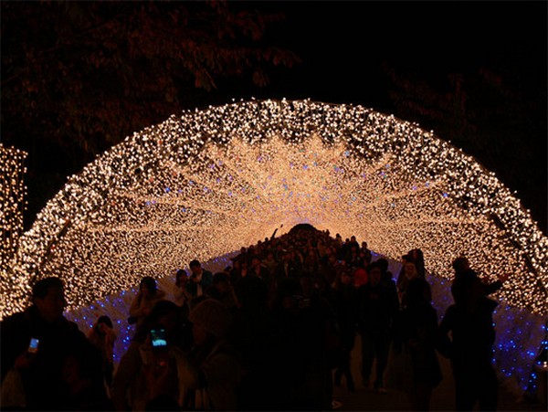 amazing-winter-light-festival-in-japan-08.jpg