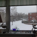 2012.01.18. Snow, snow, snow...